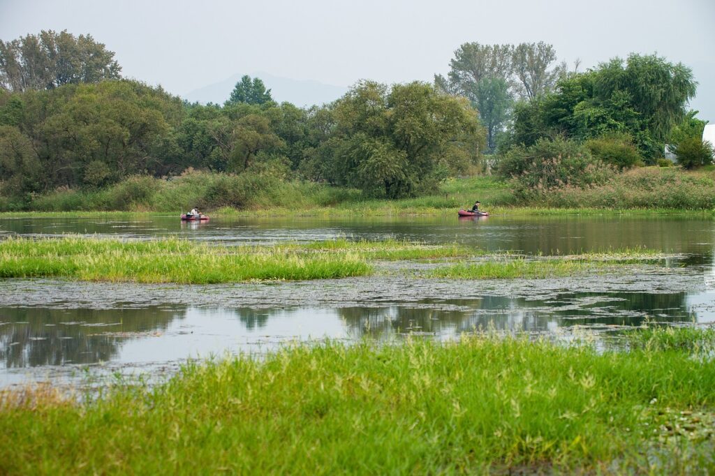 Herfstvissers bij het Trasimeense Meer tussen het riet