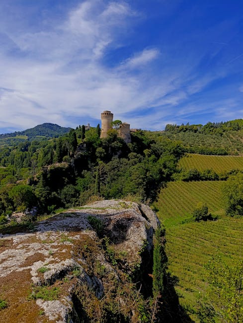 Tour circulaire isolée sur une colline couverte de vignes en Ombrie