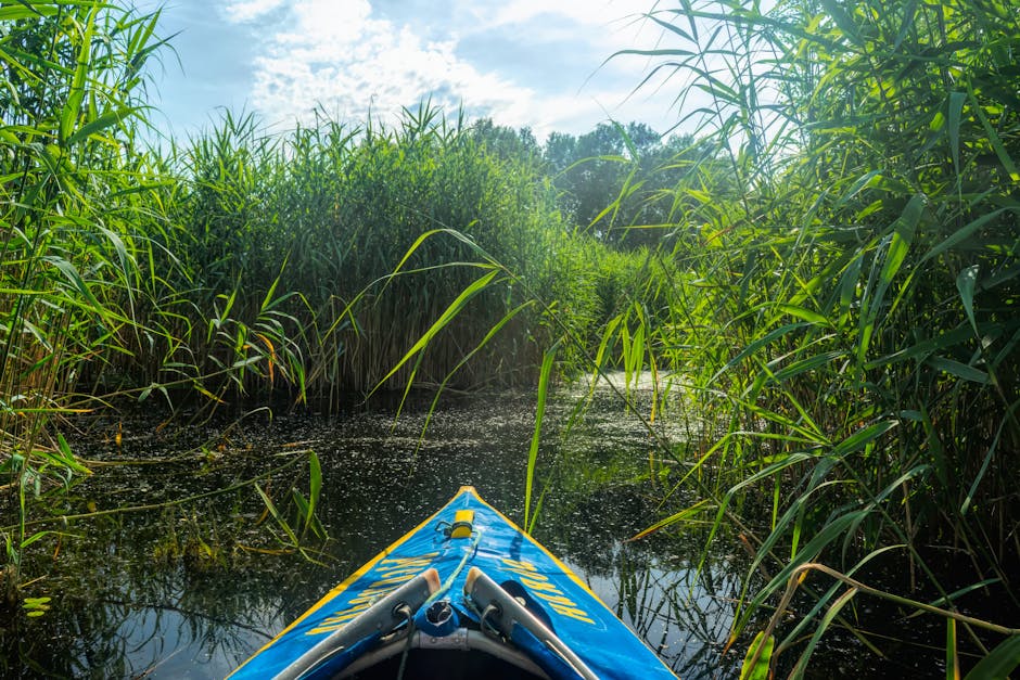kajak dichtbij riet bij de natuurreservaat van San Feliciano