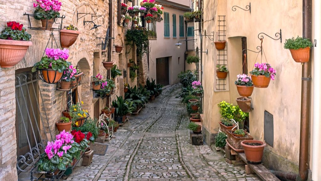 Cobblestone Umbria alley lined with hanging flower pots and shutters