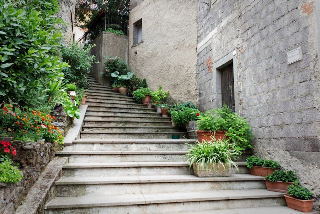 Stone steps in an Umbrian borgo bordered by terracotta plant pots