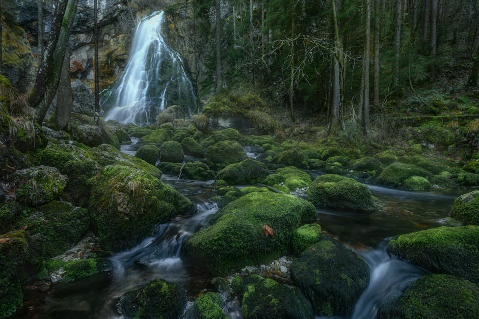 Cascata che scende su massi ricoperti di muschio nel Parco della Sila, Calabria