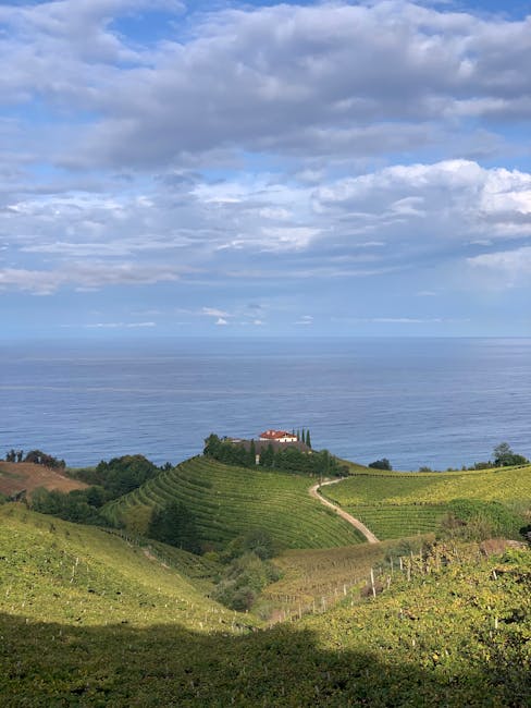 Clifftop villa surrounded by terraced vineyards overlooking the sea in Calabria