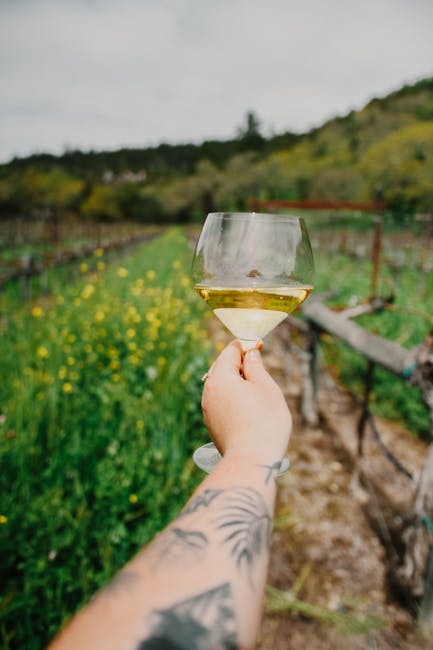 Weißwein vor Küstenweinberg in Amantea