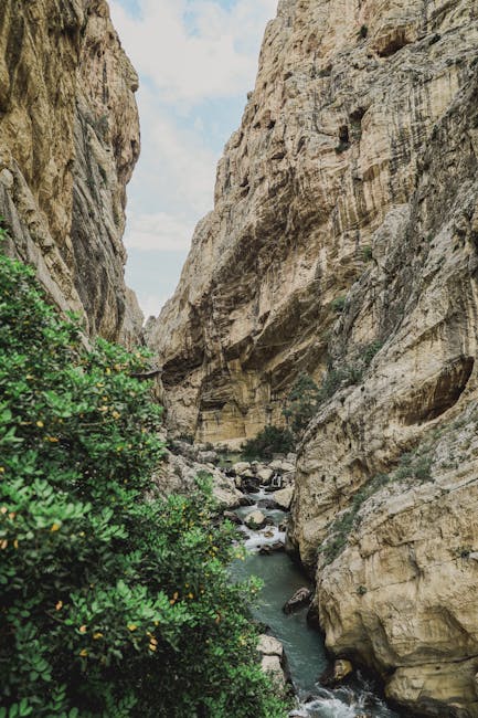 Enge Schlucht im Pollino mit wildem Bach, hohen Felswänden und Grün