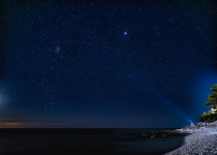Starry night sky and constellations over Zingari coastal reserve