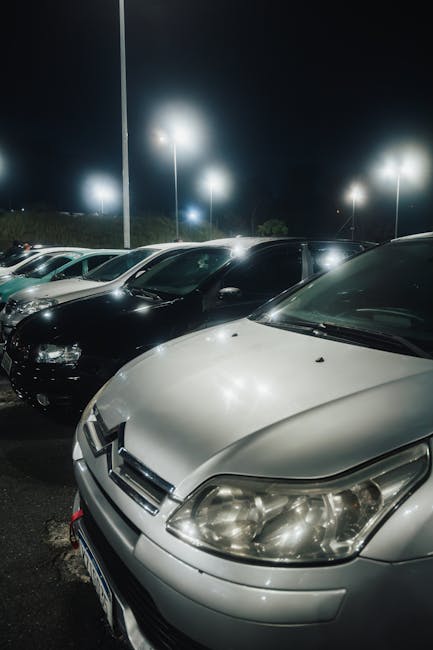 Night parking lot at Zingari Nature Reserve