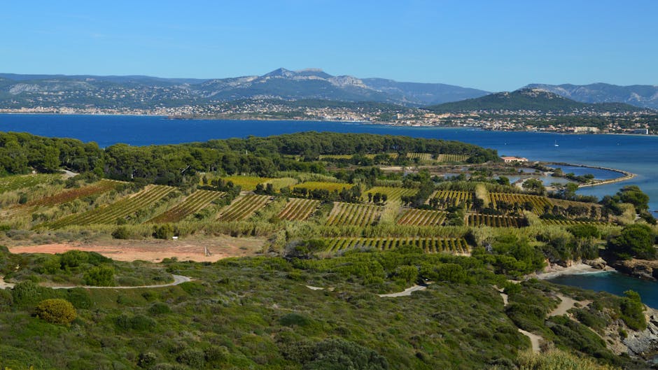 Küstenweinberg mit Blick aufs Meer und Berge in Kalabrien
