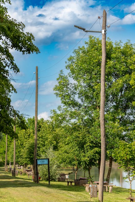 Lakeside picnic benches and lamp poles under trees in Calabria