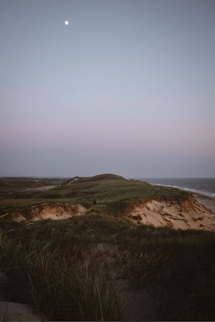 Moon rising above grassy sand dunes along Calabria coastline at dusk