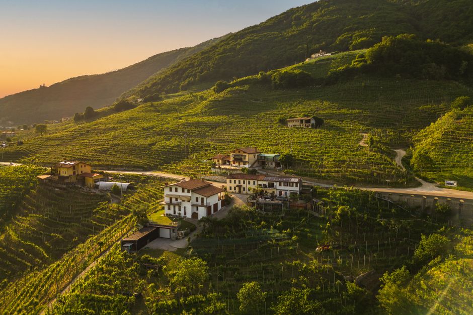 Aerial view of terraced vineyards and farmhouse at sunset in Calabria