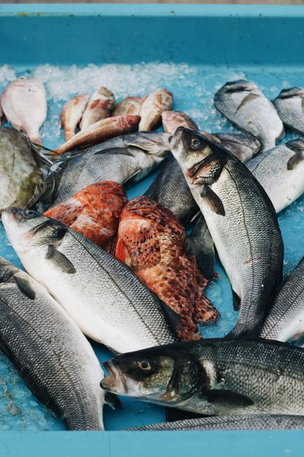 Frischer Fisch auf Eis, Meeresfische aus dem Markt in Kalabrien