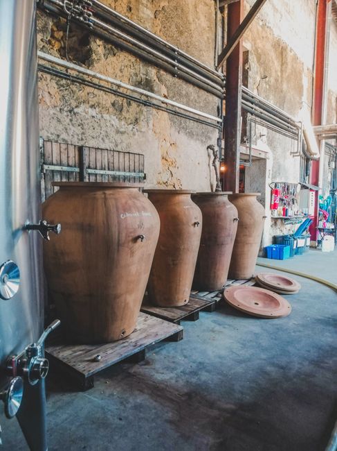Terracotta amphorae lined on pallets inside a rustic Calabrian winery