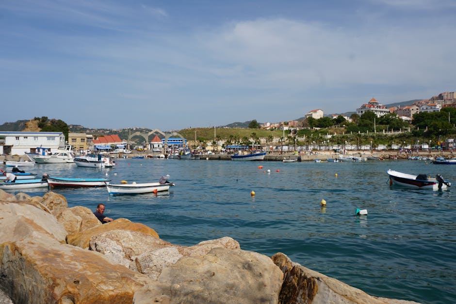 Porto peschereccio calabrese con barche ormeggiate e banchina rocciosa