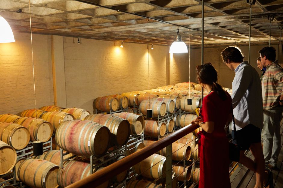 Visitors overlooking stacked oak barrels in a Calabria winery cellar