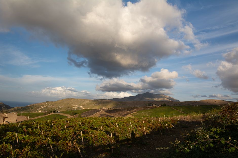 Sunset vineyard panorama over Calabria’s coastal hills