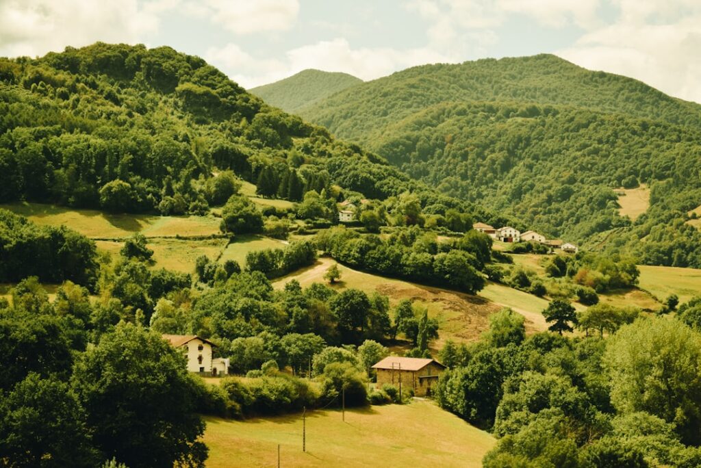 Rolling wooded hills and scattered farmhouses in Calabria's Sila countryside
