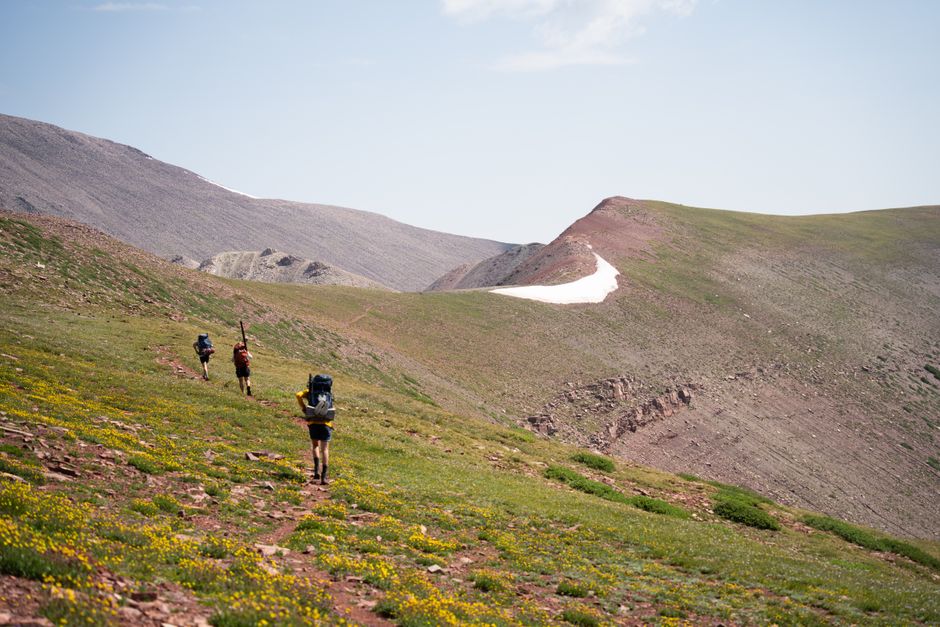 Group of hikers observing flowers on trail with backpacks