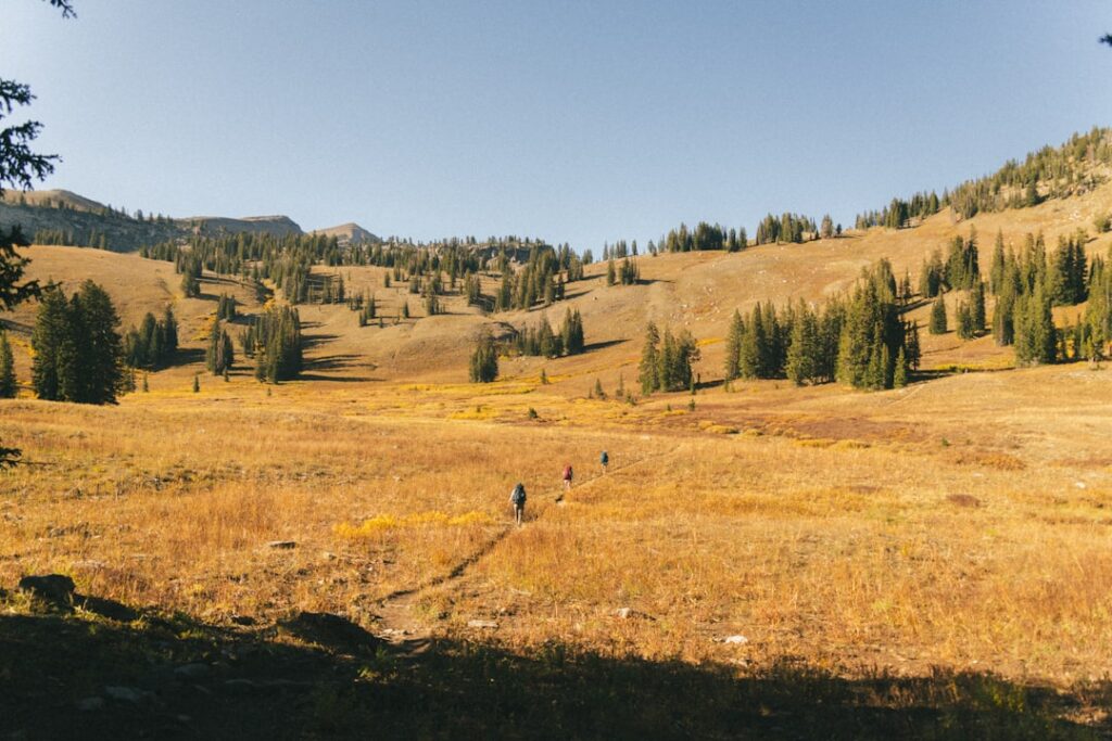 Hikers walking a narrow trail across golden Sila meadows in Calabria