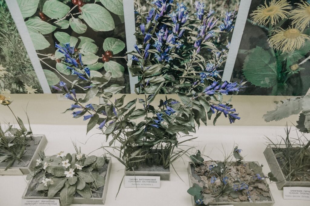 Museum natural history exhibit with plants and educational panels