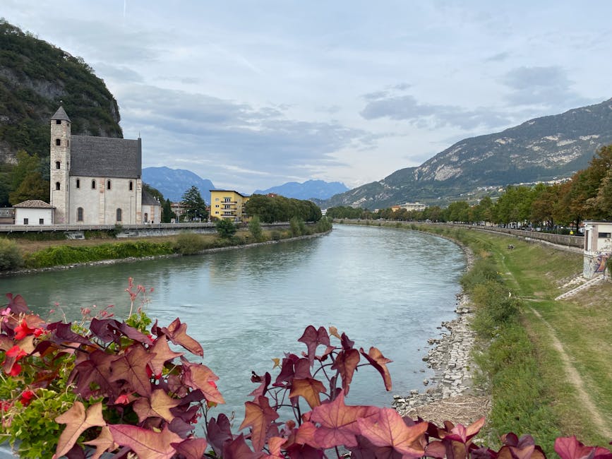 Rivière Adige à Trente avec une église blanche et fleurs au premier plan