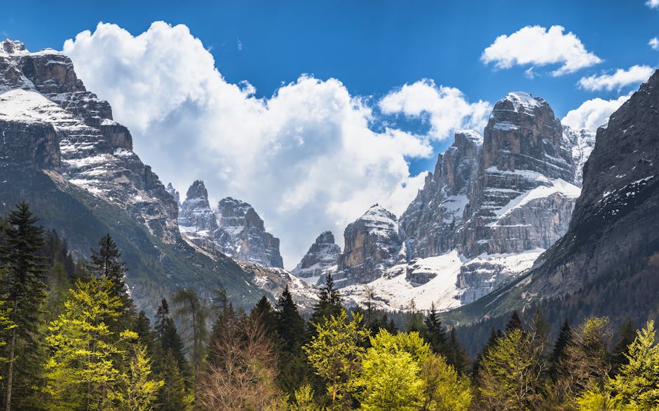 Pics dolomitiques enneigés dominant des forêts, paysage proche de Trente
