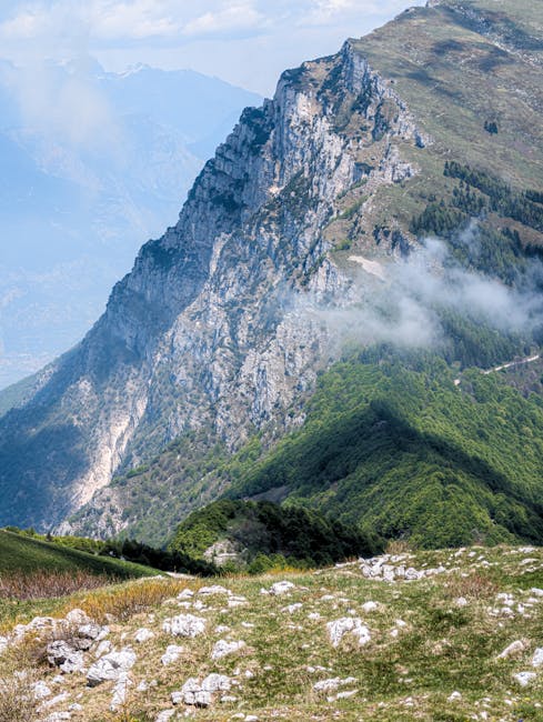 Crête rocheuse et forêts verdoyantes près de Trente, vue en contrebas