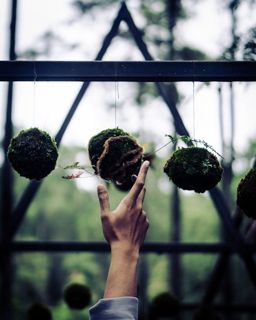 Handgefertigtes Kokedama aus Moos und Pflanze