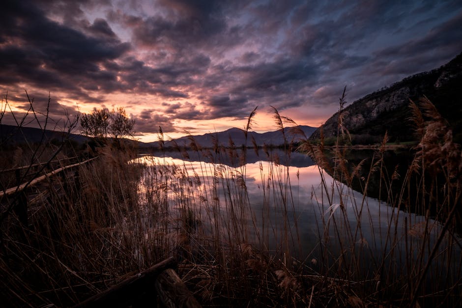 Roseaux au premier plan et coucher de soleil sur le lac près de Trente