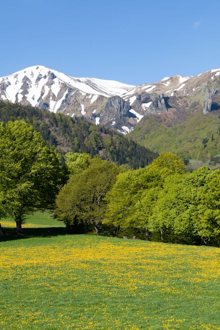 Pré fleuri et montagnes encore enneigées près de Trente.