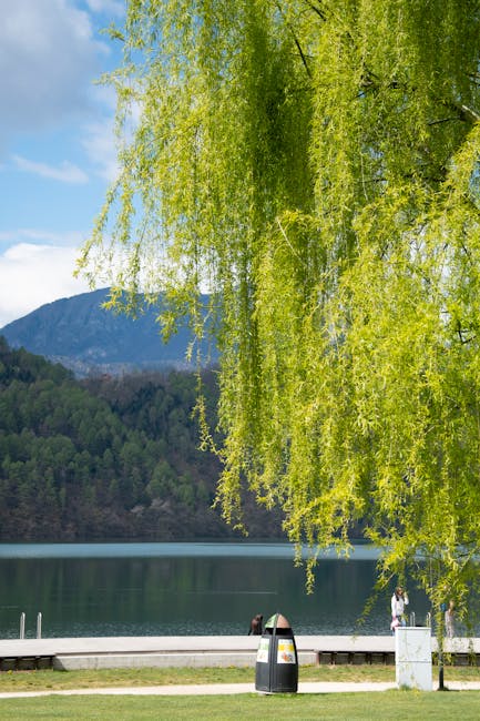 Uferweg und Frühlingsblüten im Park von Levico Terme