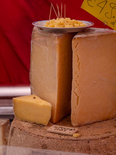 Tall wheels of alpine cheese with tasting cubes at Trento market