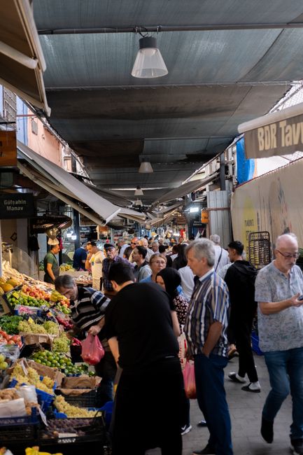 Allée couverte du marché de Trente animée par étals de fruits.