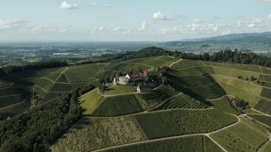 Luchtfoto van klein kasteel op heuvel te midden van wijngaarden nabij Trento