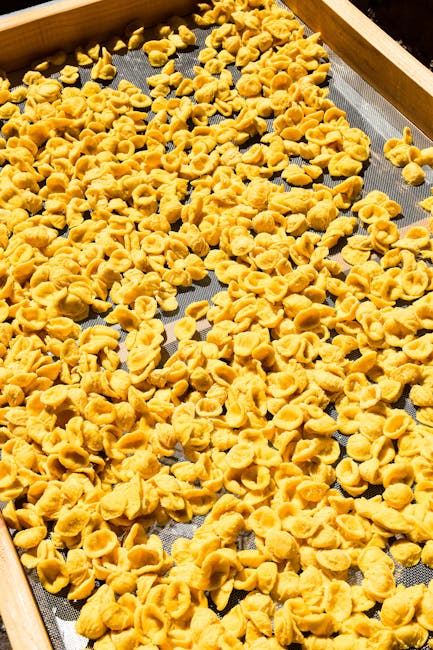Frisch geformte Orecchiette auf einem Sieb zum Trocknen in Bari