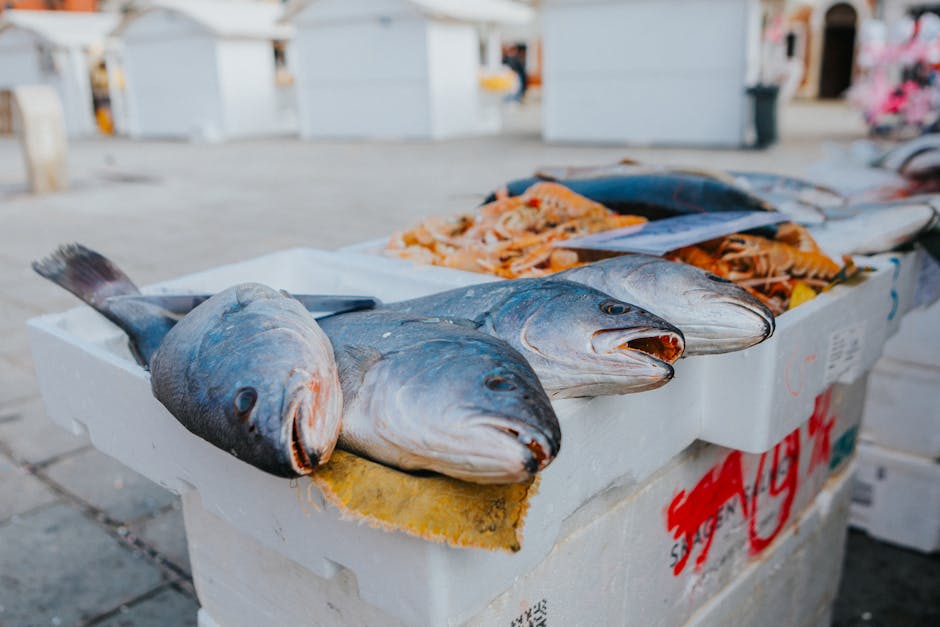 Bancarelle del mercato del pesce vicino al porto di Bari con pesce alla griglia