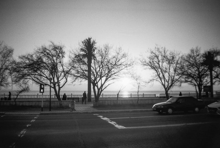 bord de mer de Bari avec trottoir, arbres et voitures