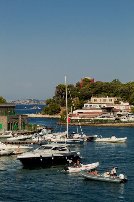 Piccole imbarcazioni ormeggiate nella baia di Bari con pini sullo sfondo