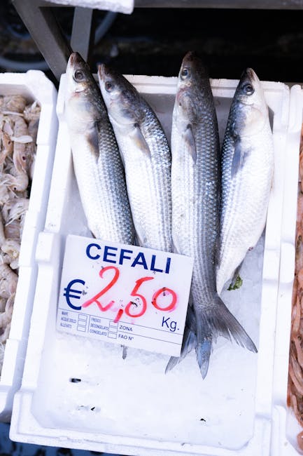 Verse cefali op ijs met prijskaartje, vismarkt in Bari