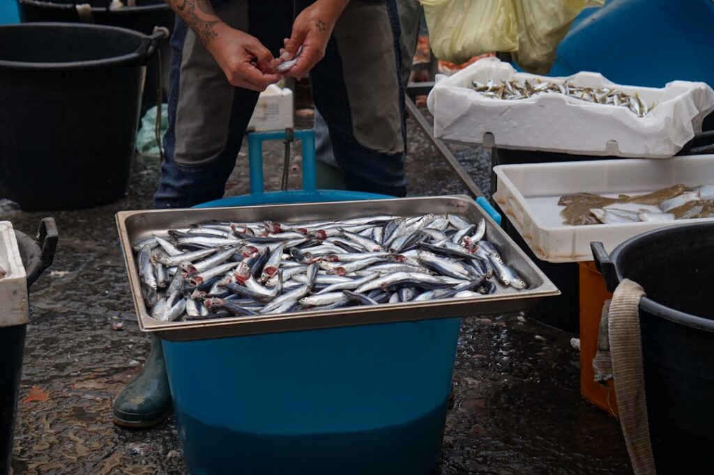 Fischer sortieren Sardinen auf Tablett am Fischmarkt von Catania