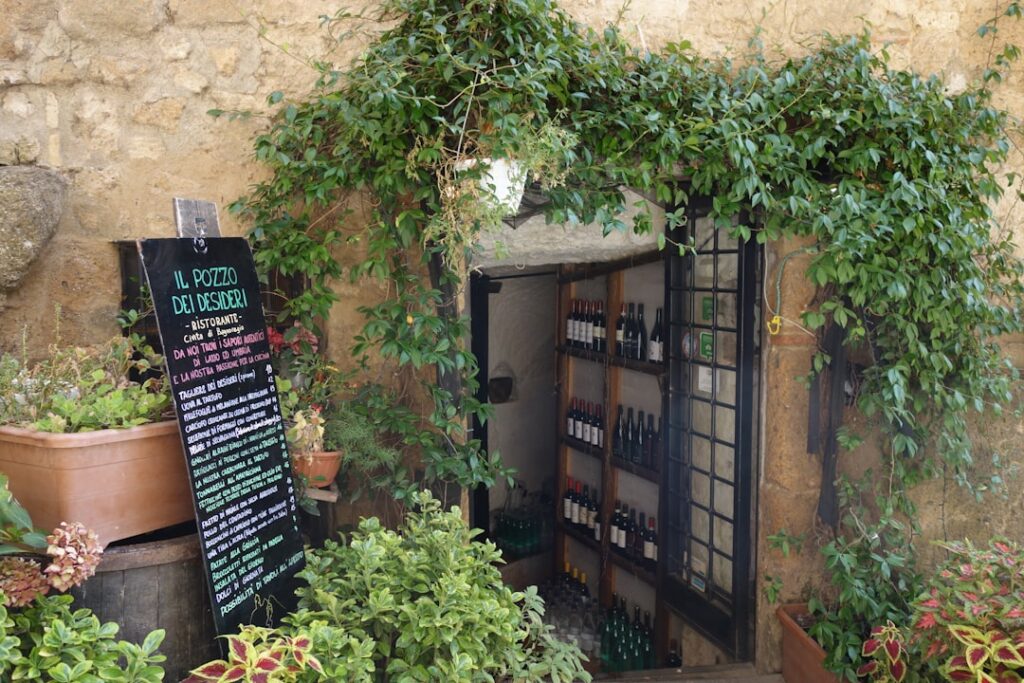 Vine-covered cellar entrance in Catania revealing wine bottles and menu board.
