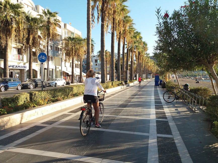 Ciclista sul lungomare di Catania con file di palme e mare