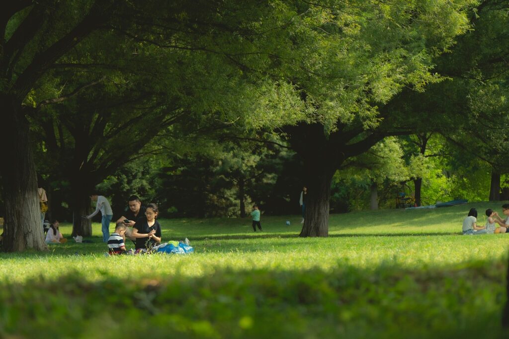 Famiglia in picnic all'ombra di grandi alberi in un parco a Catania