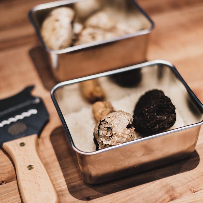 Fresh black and white truffles in a metal tin on wooden board, Piedmont
