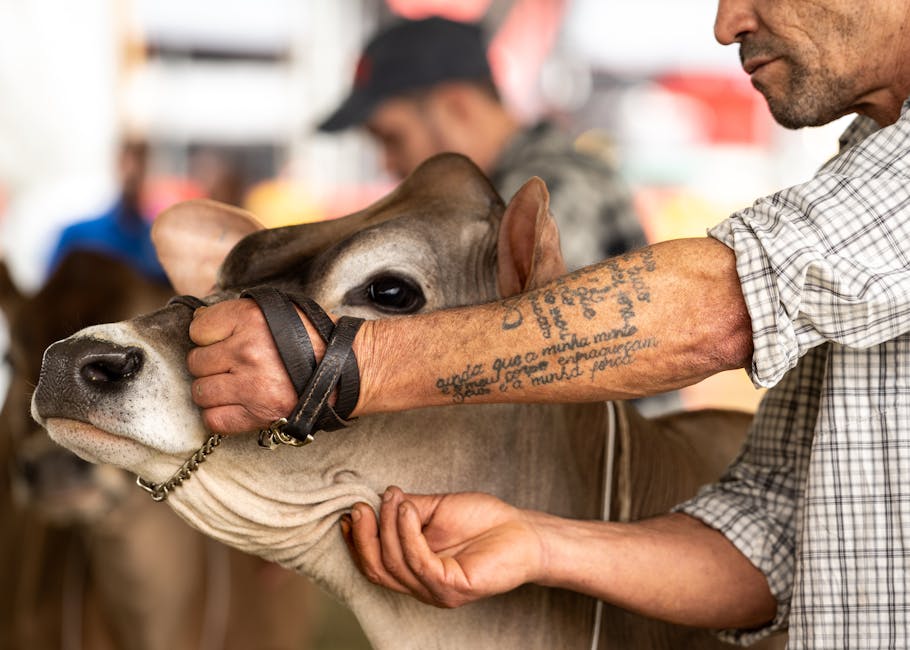 Stand con carne alla griglia alla fiera di Carrù