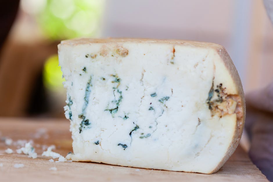 Close-up of Castelmagno cheese