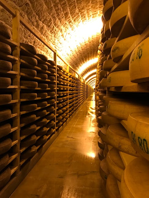 Lunga cantina con scaffali pieni di forme di formaggio in Piemonte