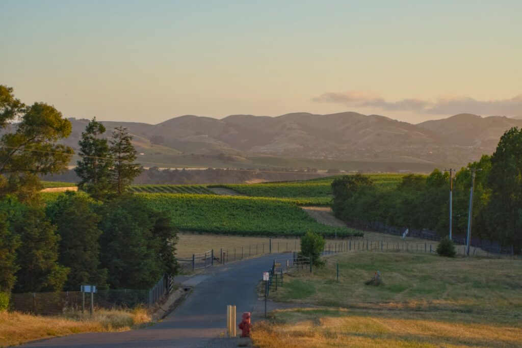 Sunset over Piedmont countryside road leading through vineyards and hills.