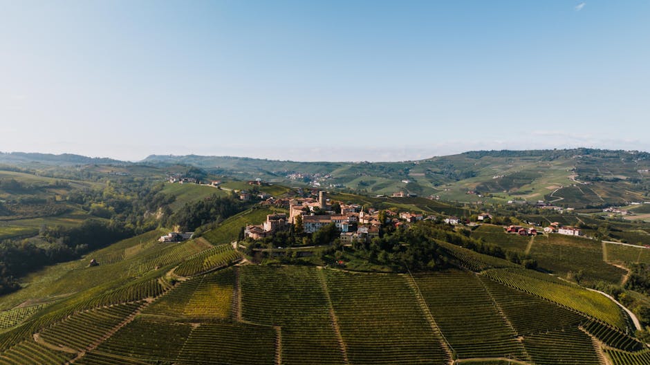 Borgo collinare del Piemonte avvolto da vaste file di vigneti