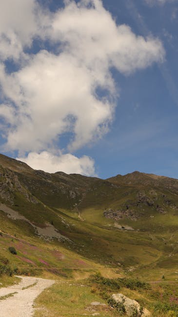 Wanderweg durch blühende Wiesen zu grasigen Hügeln im Piemont